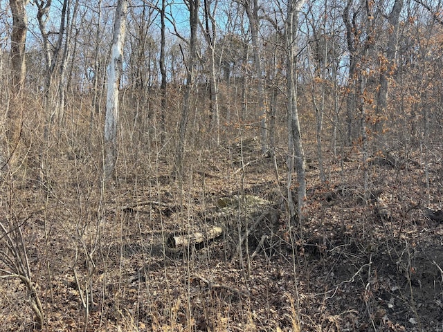 2 Bluffview Dr, Acre Tract Center, MO 63436