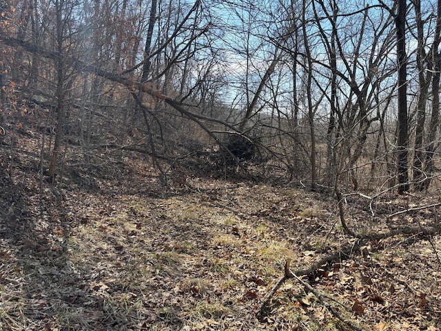 2 Bluffview Dr, Acre Tract Center, MO 63436