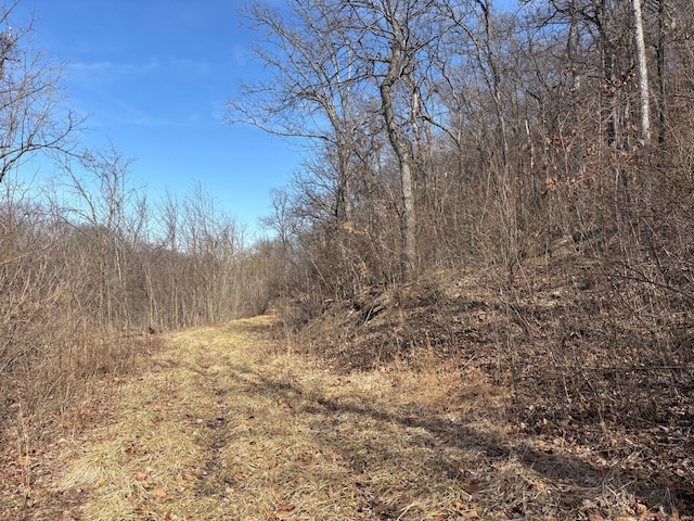 2 Bluffview Dr, Acre Tract Center, MO 63436