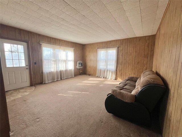 601 S Elm St, Center, MO 63436 - living area featuring healthy amount of natural light, carpet floors, wood walls, and heating unit