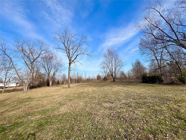 601 S Elm St, Center, MO 63436 - view of grassy yard