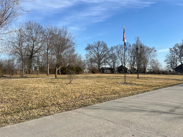 601 S Elm St, Center, MO 63436 - view of yard