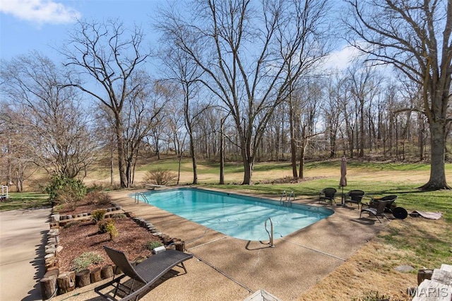 167 Red Fox Ln, Cape Girardeau, MO 63701 - swimming pool with a diving board, a patio area, and a yard