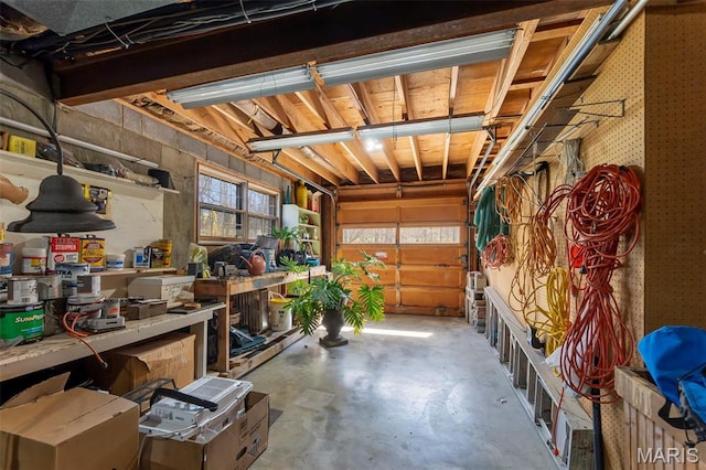 167 Red Fox Ln, Cape Girardeau, MO 63701 - garage with a workshop area