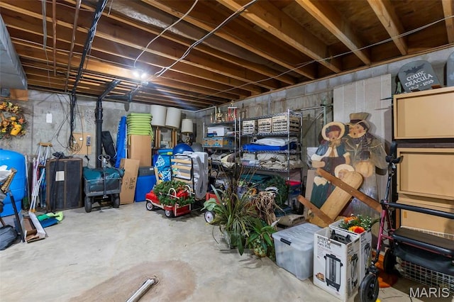 167 Red Fox Ln, Cape Girardeau, MO 63701 - view of storage room