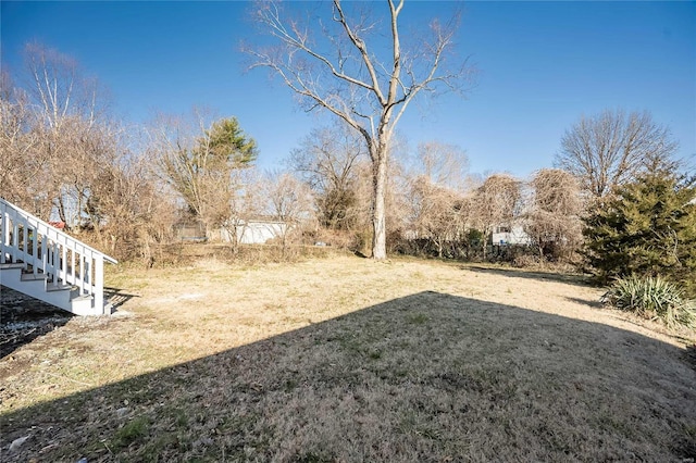 133 Lithia Ave, Saint Louis, MO 63119 - view of green lawn with stairs