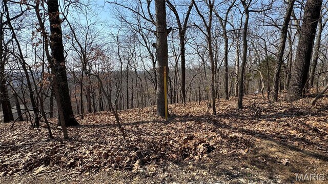 3357 Johns Cabin Rd, Wildwood, MO 63038