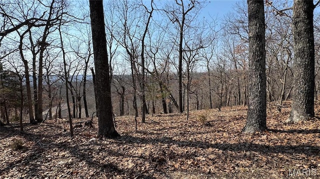 3357 Johns Cabin Rd, Wildwood, MO 63038
