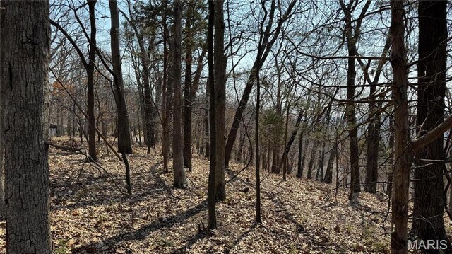 3357 Johns Cabin Rd, Wildwood, MO 63038