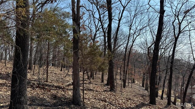 3357 Johns Cabin Rd, Wildwood, MO 63038