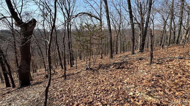 3357 Johns Cabin Rd, Wildwood, MO 63038