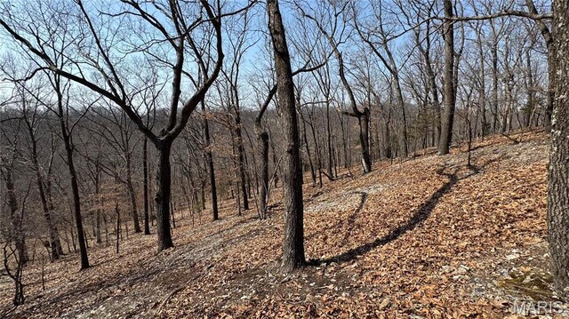 3357 Johns Cabin Rd, Wildwood, MO 63038
