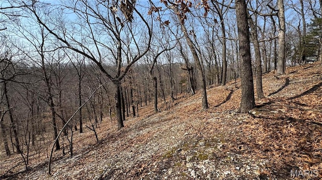 3357 Johns Cabin Rd, Wildwood, MO 63038