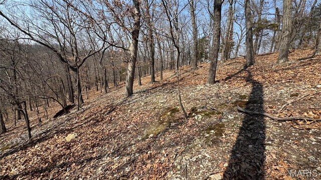 3357 Johns Cabin Rd, Wildwood, MO 63038