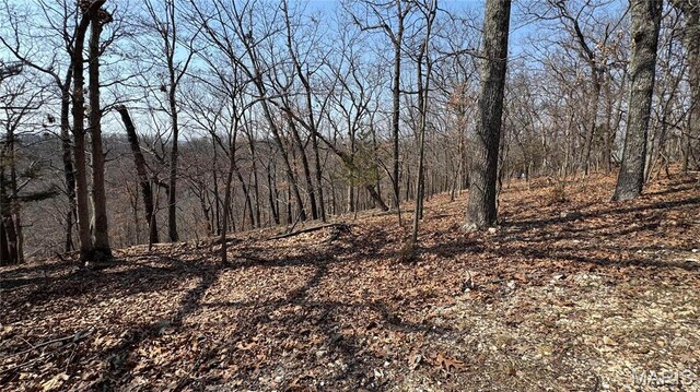 3357 Johns Cabin Rd, Wildwood, MO 63038