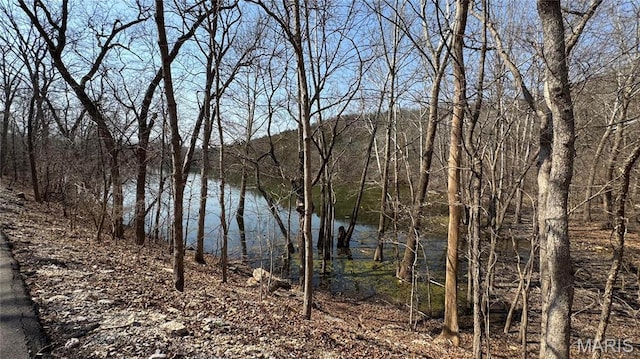 3357 Johns Cabin Rd, Wildwood, MO 63038