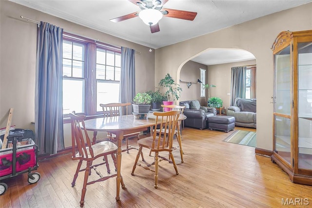 5800 Marquette Ave, Saint Louis, MO 63139 - dining room with arched walkways, light wood-type flooring, plenty of natural light, and a ceiling fan