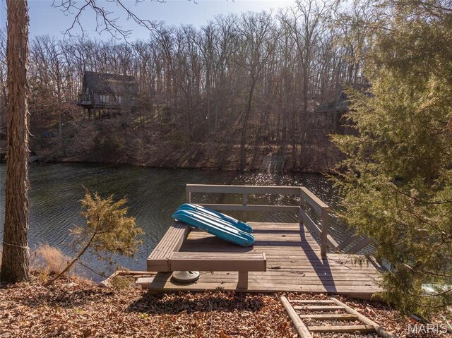 1703 Wynnbrook Woods Dr, Innsbrook, MO 63390 - dock featuring a water view