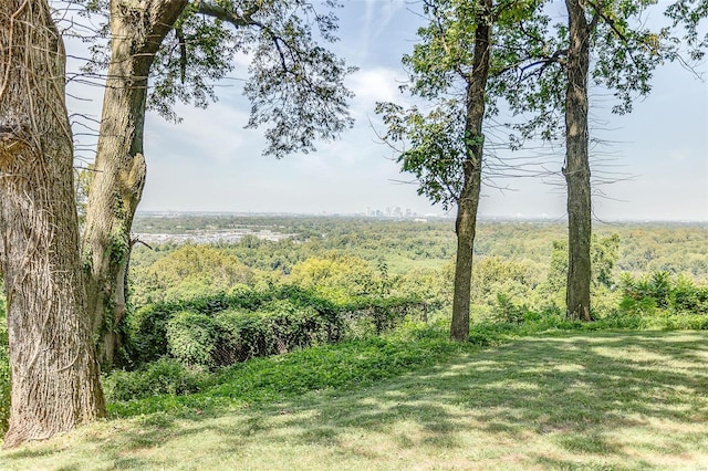 view of yard featuring a view of trees