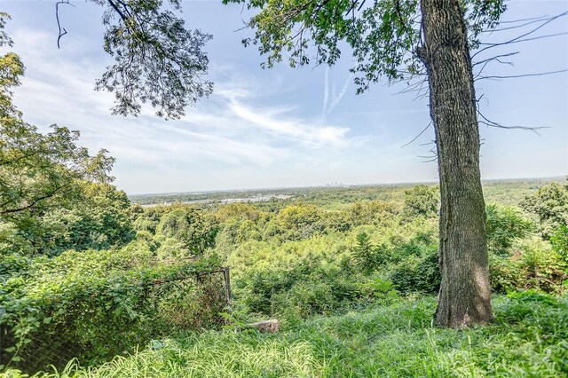 view of woods
