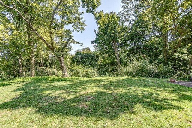 view of grassy yard