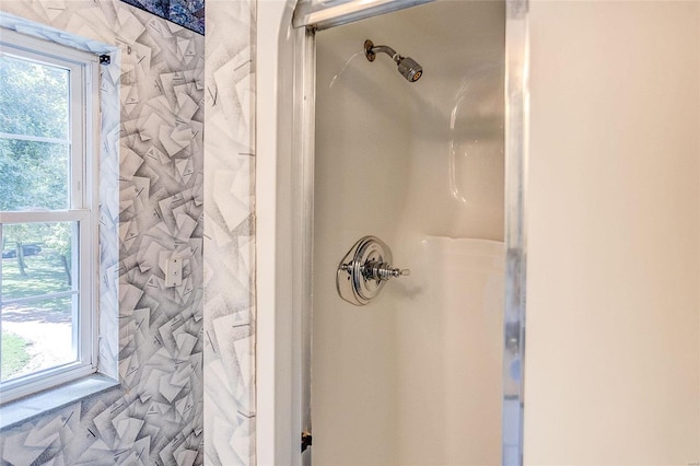 bathroom view of a shower stall
