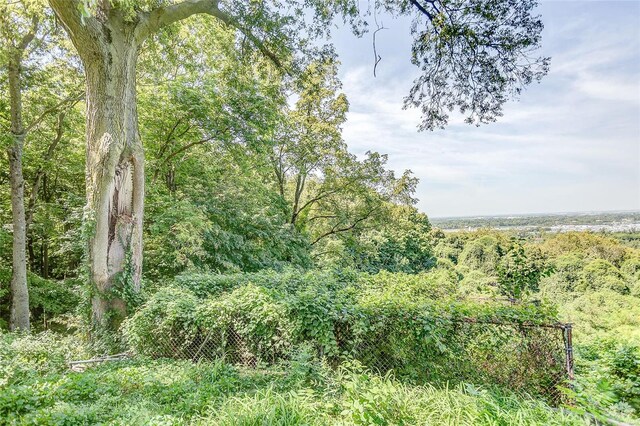 view of tree filled area