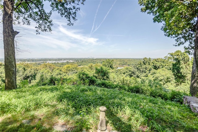 view of wooded area