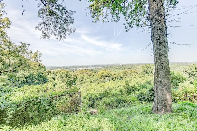 view of tree filled area