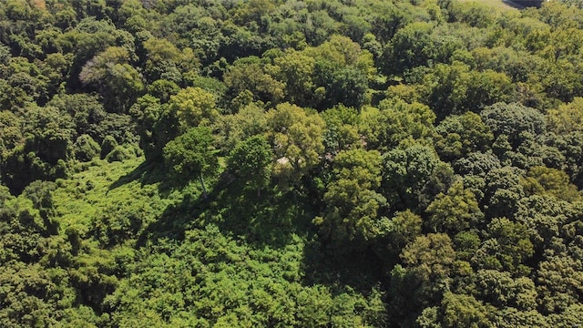 view of property location with a forest