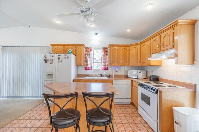 383 Red Robin, Poplar Bluff, MO 63901 - photo 4
