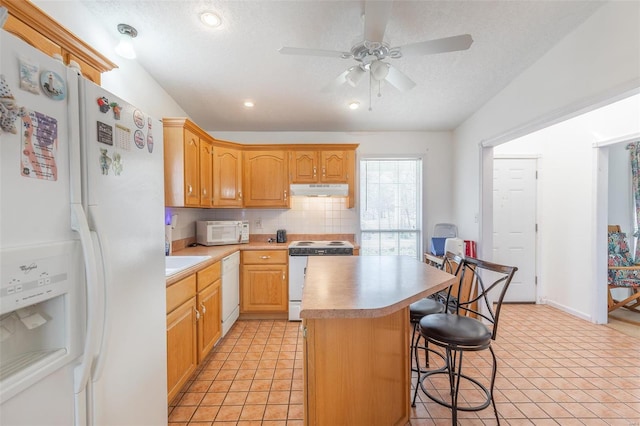 383 Red Robin, Poplar Bluff, MO 63901 - photo 5
