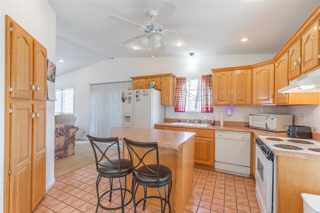 383 Red Robin, Poplar Bluff, MO 63901 - photo 6