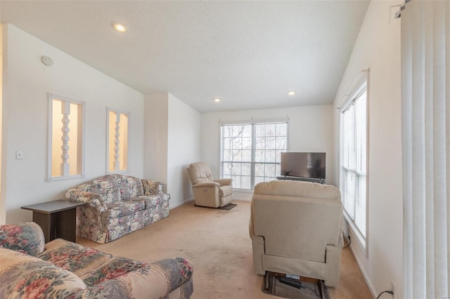 383 Red Robin, Poplar Bluff, MO 63901 - photo 7