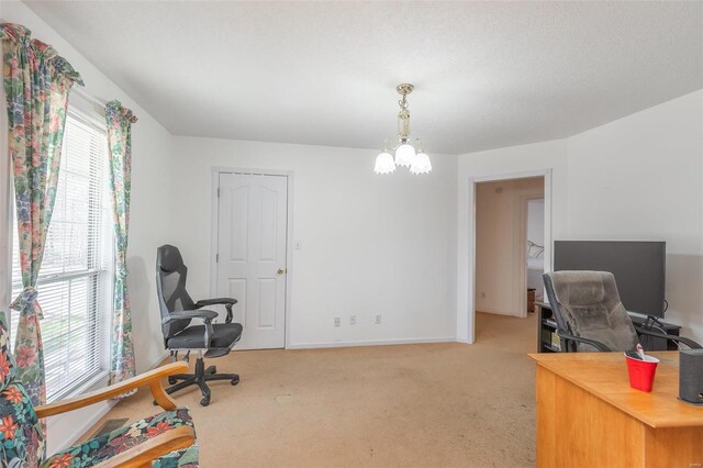 383 Red Robin, Poplar Bluff, MO 63901 - photo 10