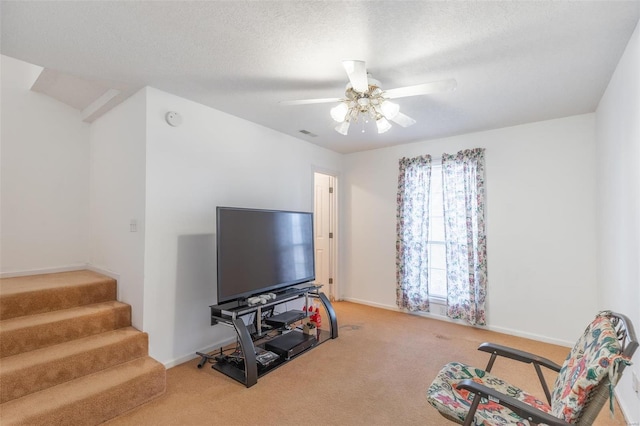 383 Red Robin, Poplar Bluff, MO 63901 - photo 17