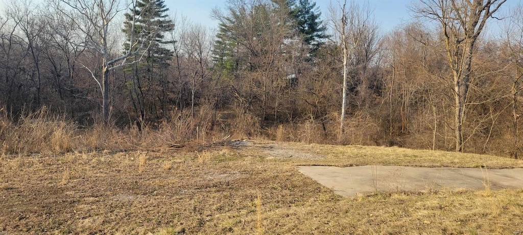 3943 Torch Club Rd, Alton, IL 62002 - photo 2