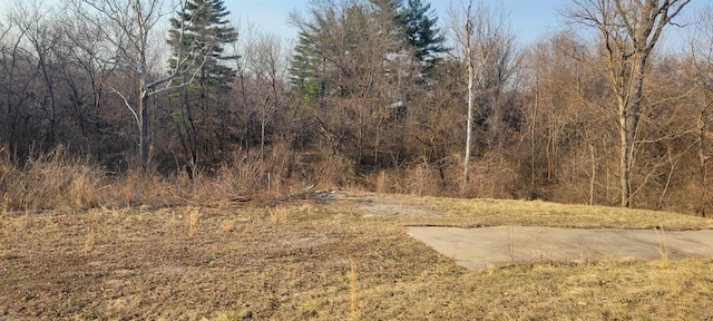 3943 Torch Club Rd, Alton, IL 62002 - photo 2