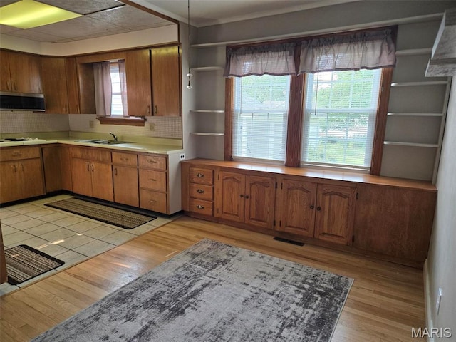 1450 Mulliken St, Carlyle, IL 62231 - kitchen featuring a sink, open shelves, decorative backsplash, light countertops, and light wood-type flooring