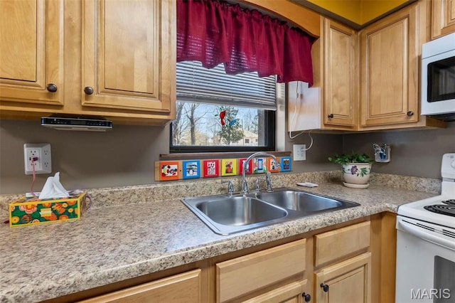 kitchen with white appliances, a sink, and light countertops