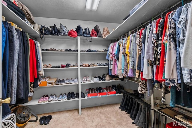 spacious closet featuring carpet floors