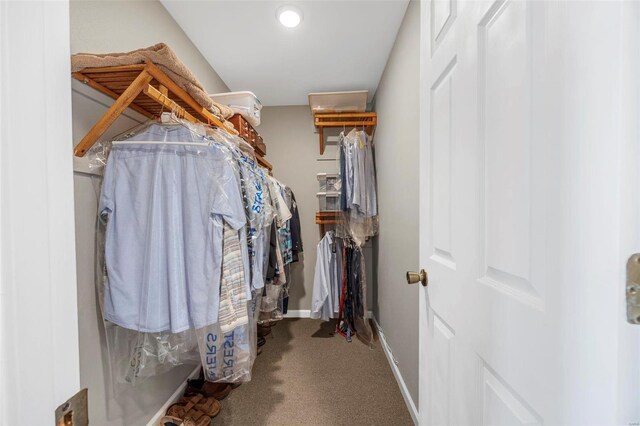 walk in closet with carpet