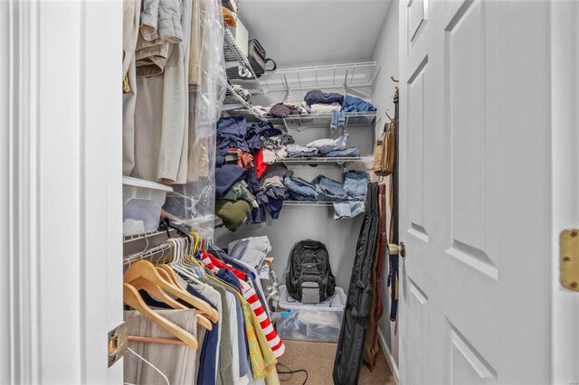 walk in closet with carpet flooring