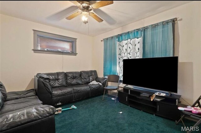 3663 Montana St, Saint Louis, MO 63116 - photo 8