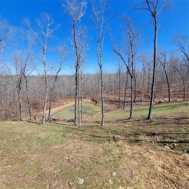 1432 Wayne 523, Wappapello, MO 63966 - view of green lawn
