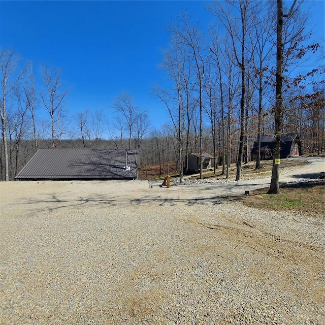 1432 Wayne 523, Wappapello, MO 63966 - view of dirt / gravel driveway