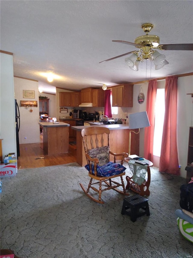 living area with a ceiling fan, a textured ceiling, and light wood-style floors