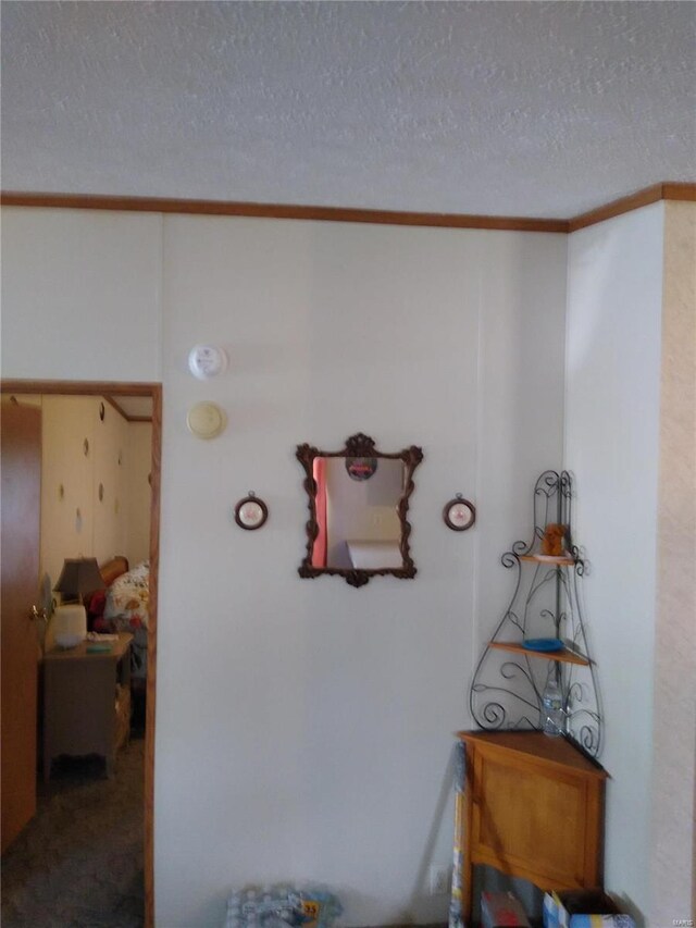 hallway with a textured ceiling and crown molding