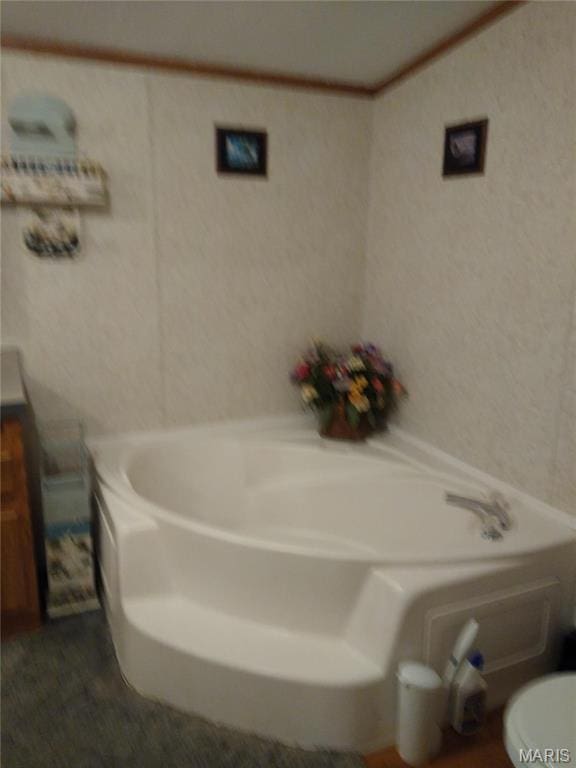 1030 Butler Rd, Tilden, IL 62292 - bathroom with a bath and toilet