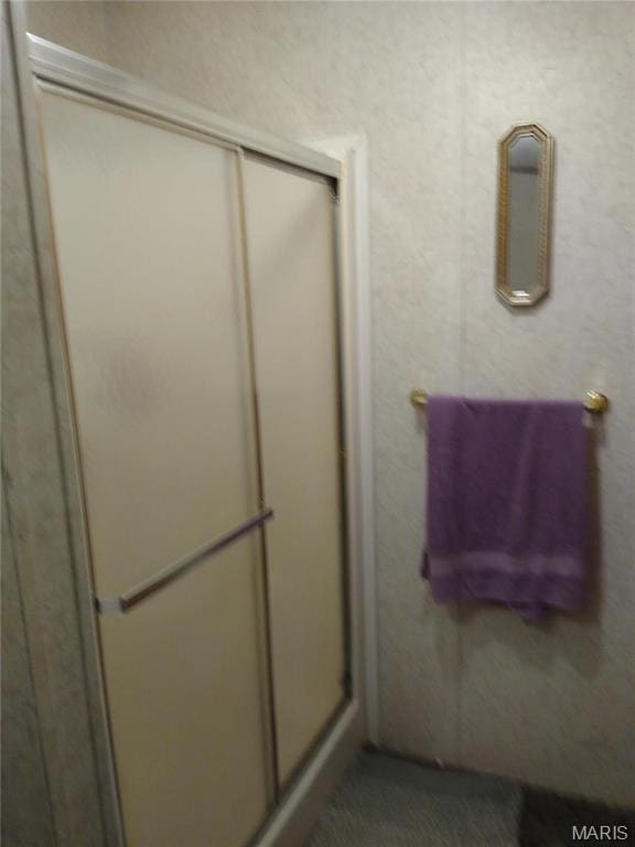 1030 Butler Rd, Tilden, IL 62292 - full bath with a stall shower